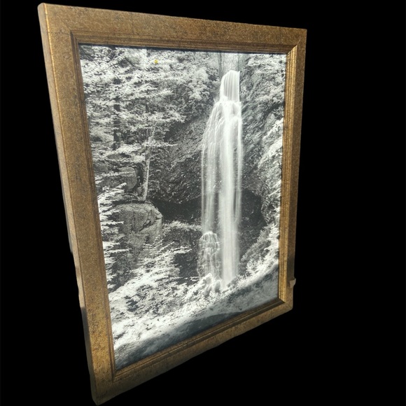 Painted Picture 🖼 - Picture 2 of 9